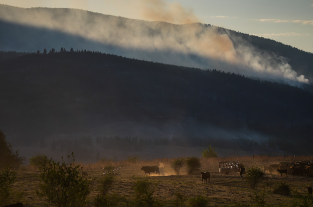 Wildfire destroys about 230 homes in western Canadian Indigenous community