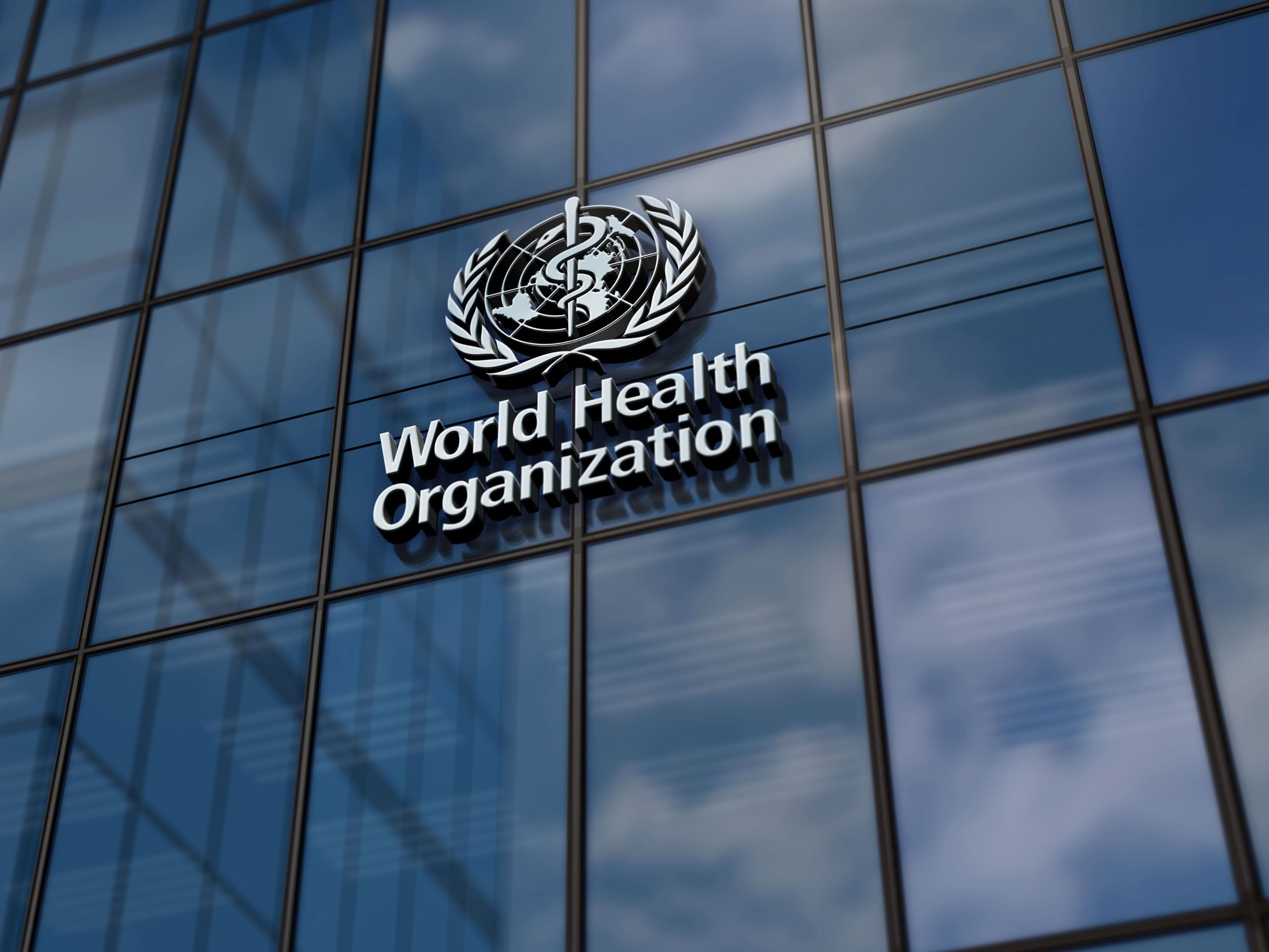 Staff shortages, funding hamper Ebola response: WHO