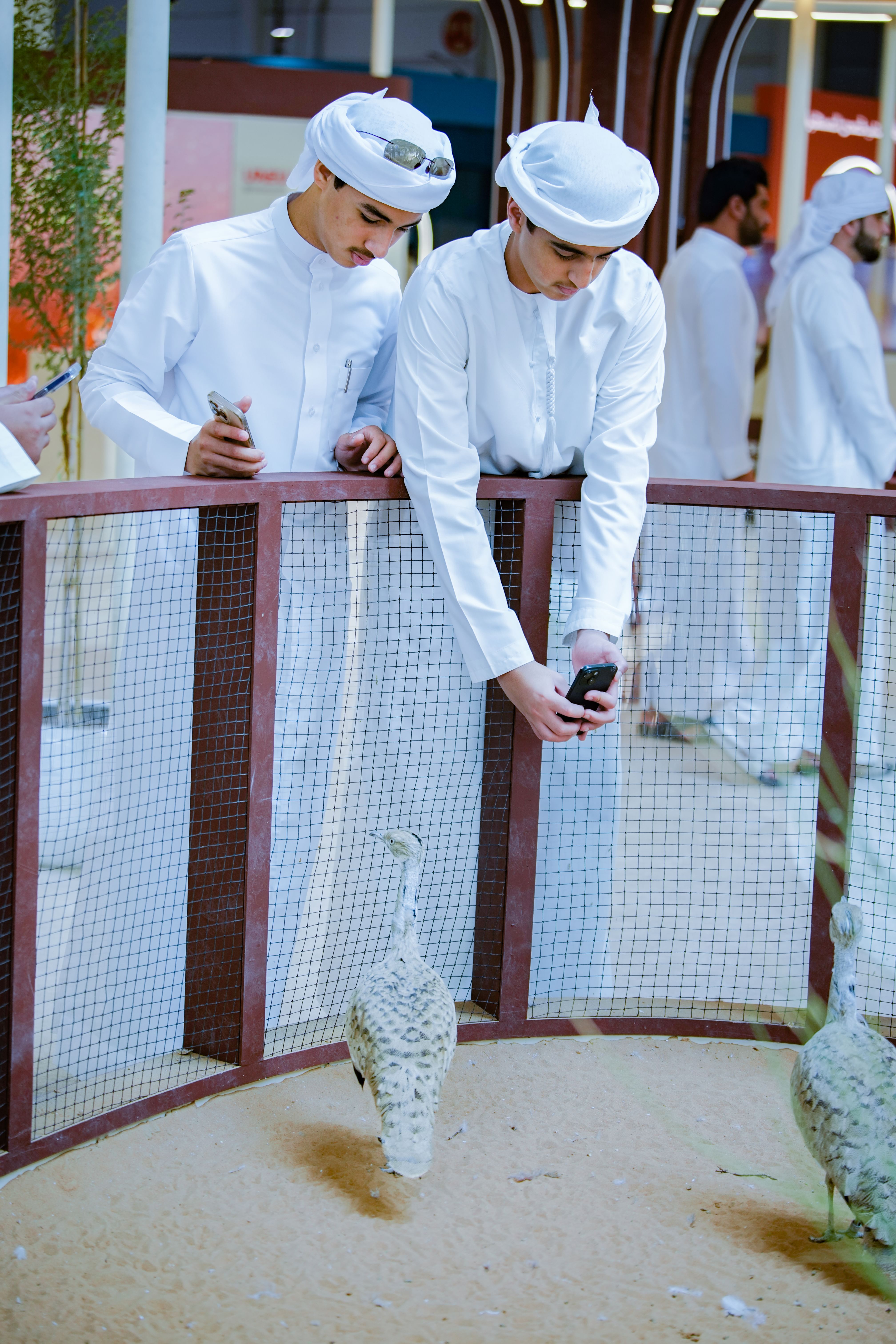 Sheikh Zayed Houbara Conservation Programme brings its legacy and future to ADIHEX 2026