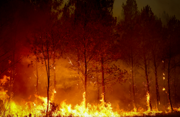 Wildfires sweep across Europe, France allocates €12 million for reconstruction