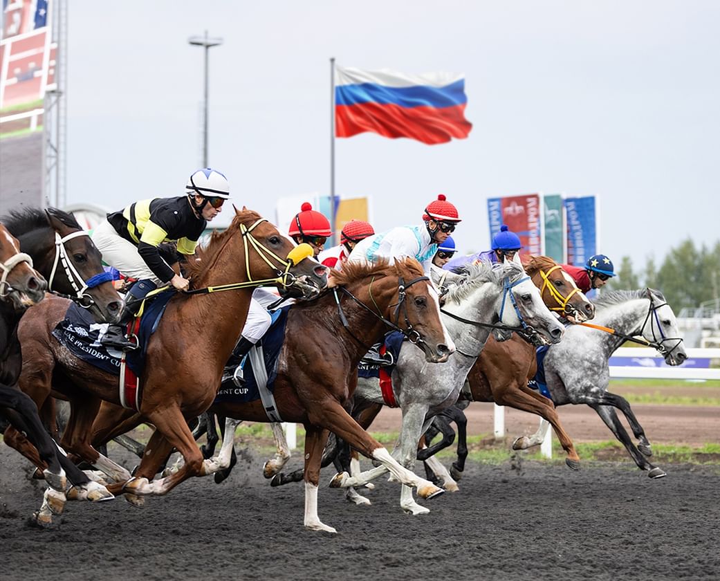 11 horses to compete for title of UAE President’s Cup for Purebred Arabian Horses in Kazan